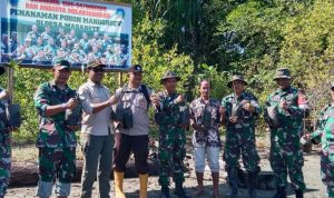 Menjaga Ekosistem Laut & Mencegah Bencana Alam, Koramil 1506-04/ Waeapo Tanam Ratusan Anakan Manggrove