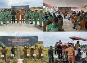Pemkab Buru dan Kodim Namlea Panen Raya Program Ketahanan Pangan
